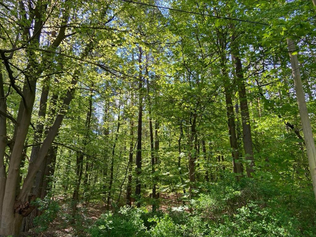 Апарт отель Waldwerk Wurlgrund Лихен Экстерьер фото